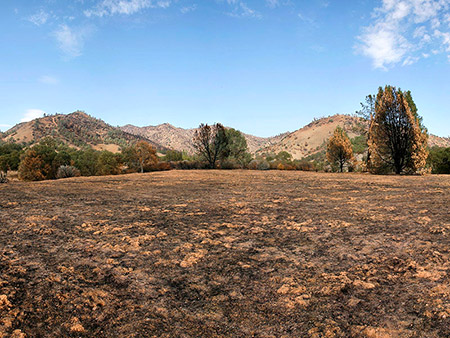 view towards Robison Mt.