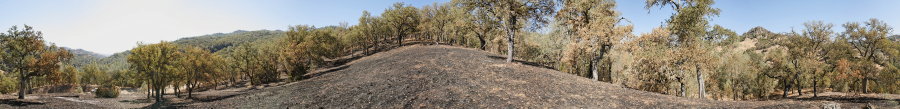 Blue Oak Grassland Near Scherrer Trail