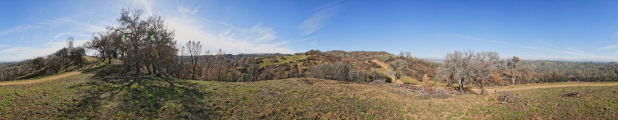 On County Line Road Near Coit Road