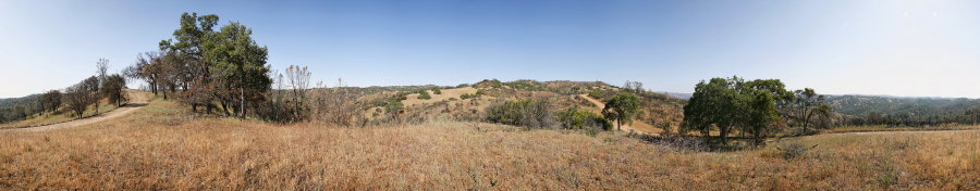 On County Line Road Near Coit Road