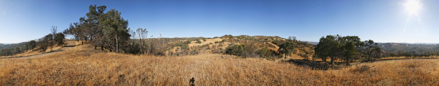 On County Line Road Near Coit Road