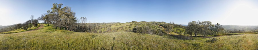 On County Line Road Near Coit Road