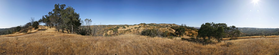 On County Line Road Near Coit Road