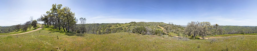 On County Line Rd. just North of Coit Road