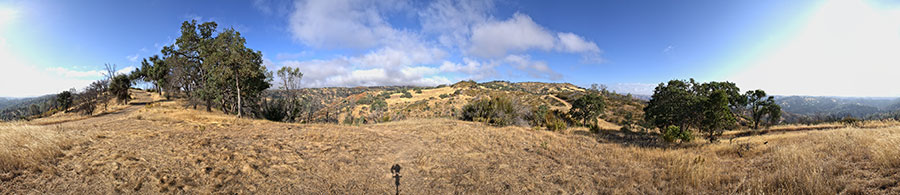 On County Line Rd. just North of Coit Road