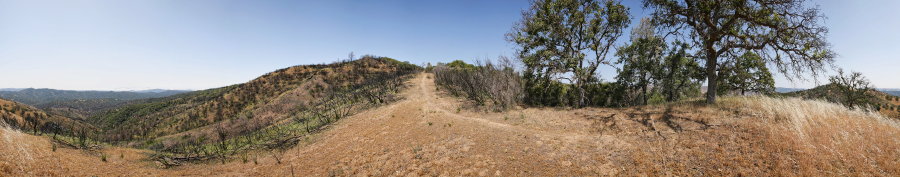 Near the top of Hartman Trail