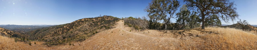 Near the top of Hartman Trail