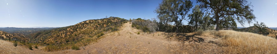 Near the top of Hartman Trail