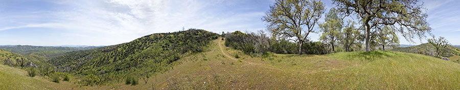 Near the top of Hartman Trail