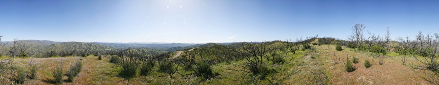 View From North Of Mississippi Lake