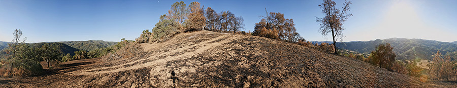 Oak grassland near the bottom of Jackass Trail (Site 1)