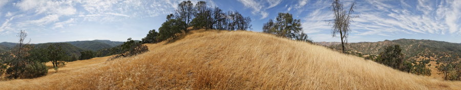 Oak grassland near the bottom of Jackass Trail (Site 1)