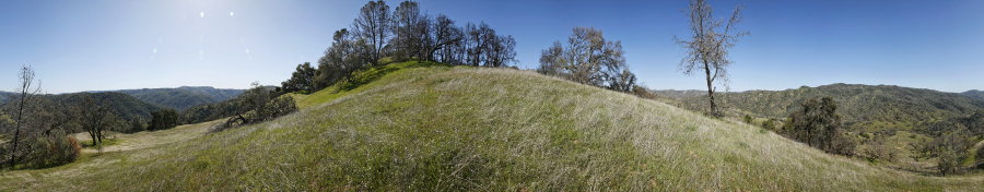 Oak grassland near the bottom of Jackass Trail (Site 1)