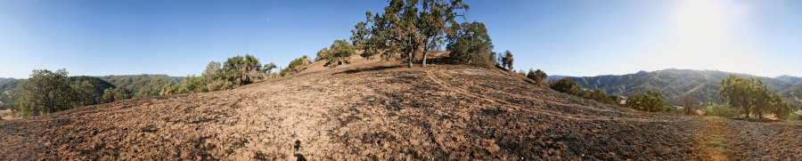 Oak Grassland Near Jackass Trail