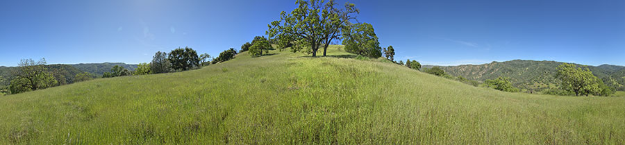 Oak grassland near the bottom of Jackass Trail (Site 2)