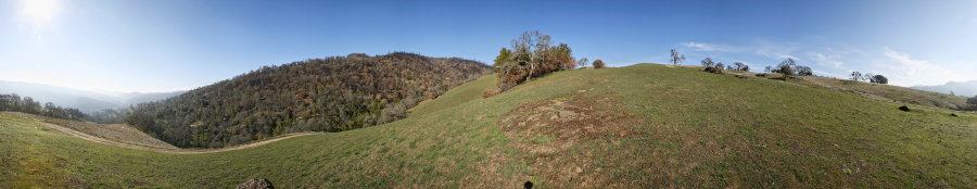 Near The Junction of Poverty Flat And Blue Ridge Roads