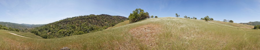 Near The Junction of Poverty Flat And Blue Ridge Roads