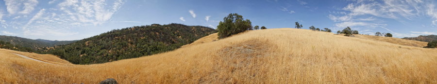 Near The Junction of Poverty Flat And Blue Ridge Roads