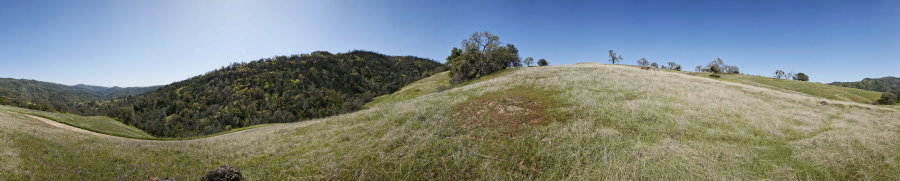Near The Junction of Poverty Flat And Blue Ridge Roads