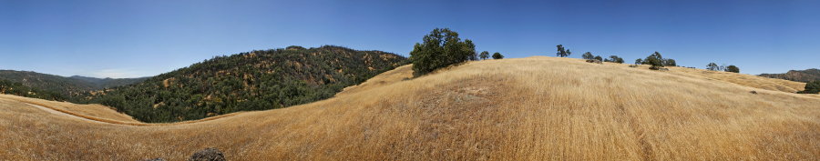 Near The Junction of Poverty Flat And Blue Ridge Roads