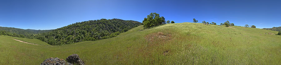 Near The Junction of Poverty Flat And Blue Ridge Roads