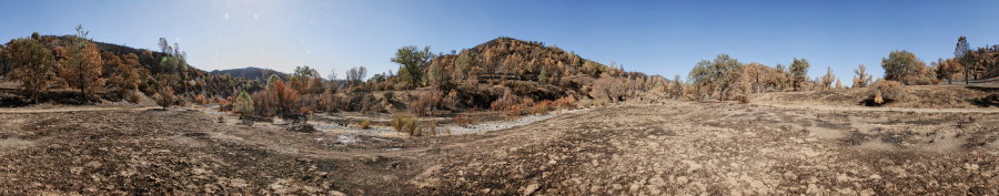 On the East Fork Near Water Gulch