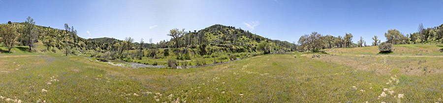 On the East Fork Near Water Gulch
