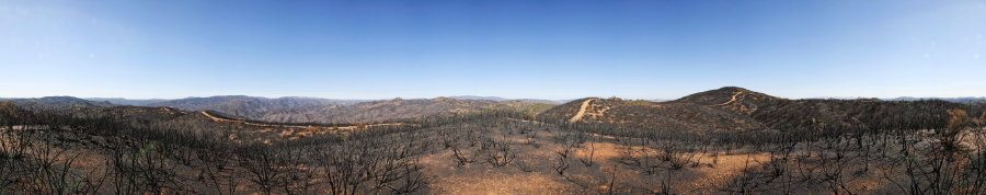 A Knoll On Willow Ridge Road Near Pacheco Ridge Road