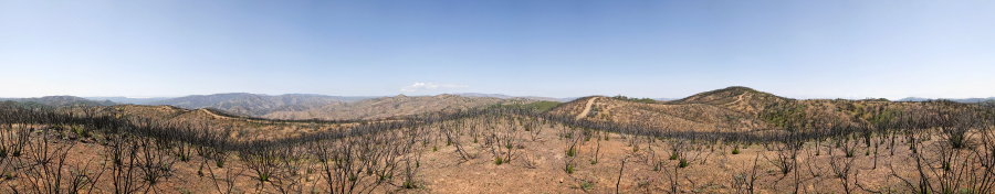 A Knoll On Willow Ridge Road Near Pacheco Ridge Road