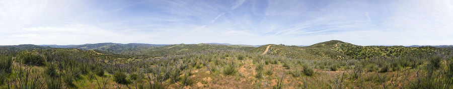 A Knoll Near Willow Ridge Road Just West Of Pacheco Ridge Road