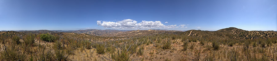 A Knoll Near Willow Ridge Road Just West Of Pacheco Ridge Road
