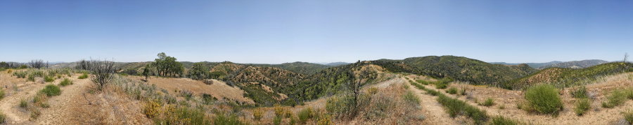 A View From Willow Ridge Road