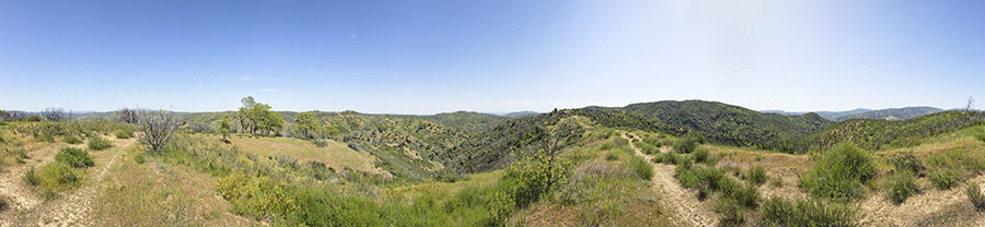 A View From Willow Ridge Road