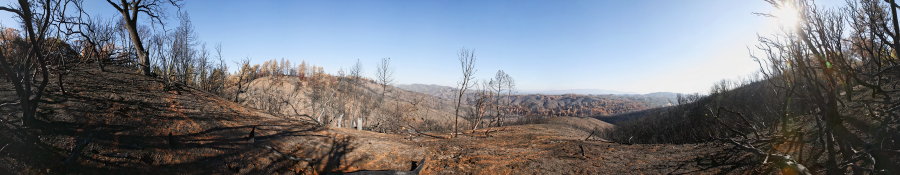 Spur Dropping From Blue Ridge To Cold Flat