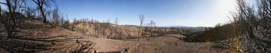 Spur Dropping From Blue Ridge To Cold Flat