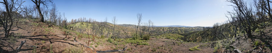 Spur Dropping From Blue Ridge To Cold Flat