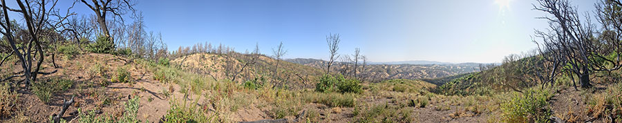 Spur Dropping From Blue Ridge To Cold Flat