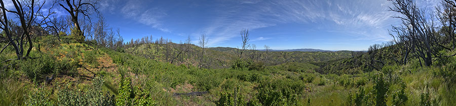A Spur Dropping From Blue Ridge To Cold Flat