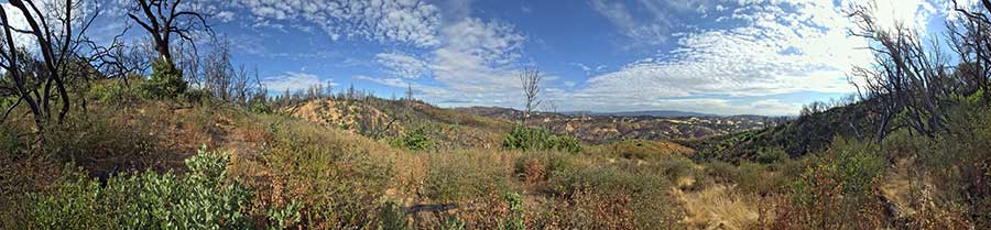 A Spur Dropping From Blue Ridge To Cold Flat