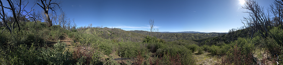 A Spur Dropping From Blue Ridge To Cold Flat