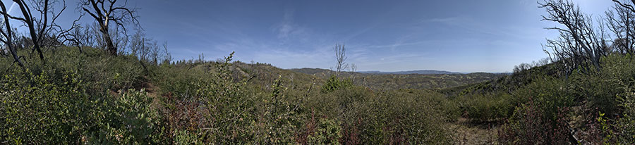 A Spur Dropping From Blue Ridge To Cold Flat