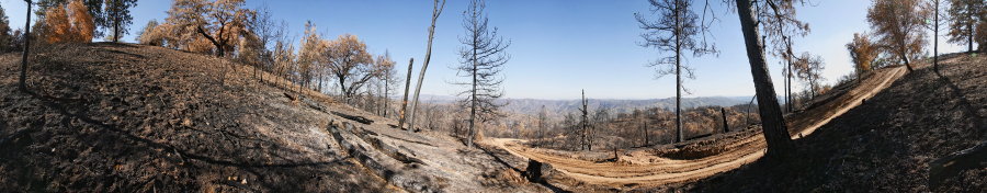 Blue Ridge Road Near Jackass Trail