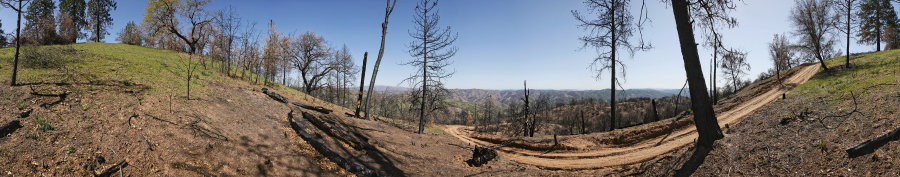 Blue Ridge Road Near Jackass Trail