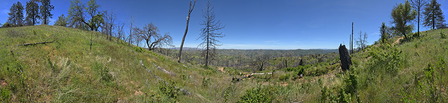 Blue Ridge Road Near Jackass Trail