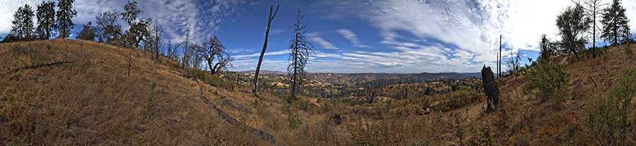 Blue Ridge Road Near Jackass Trail
