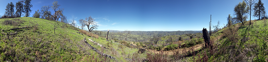 Blue Ridge Road Near Jackass Trail