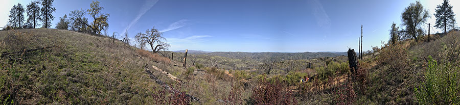 Blue Ridge Road Near Jackass Trail