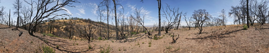 Jackass Trail Near Blue Ridge Road