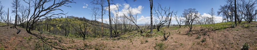 Jackass Trail Near Blue Ridge Road