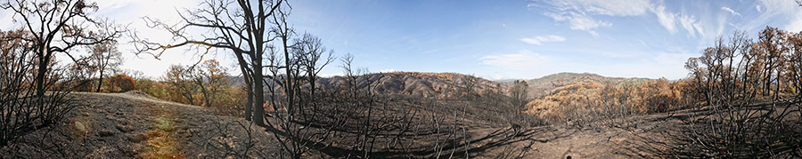 View From Bollinger Ridge 